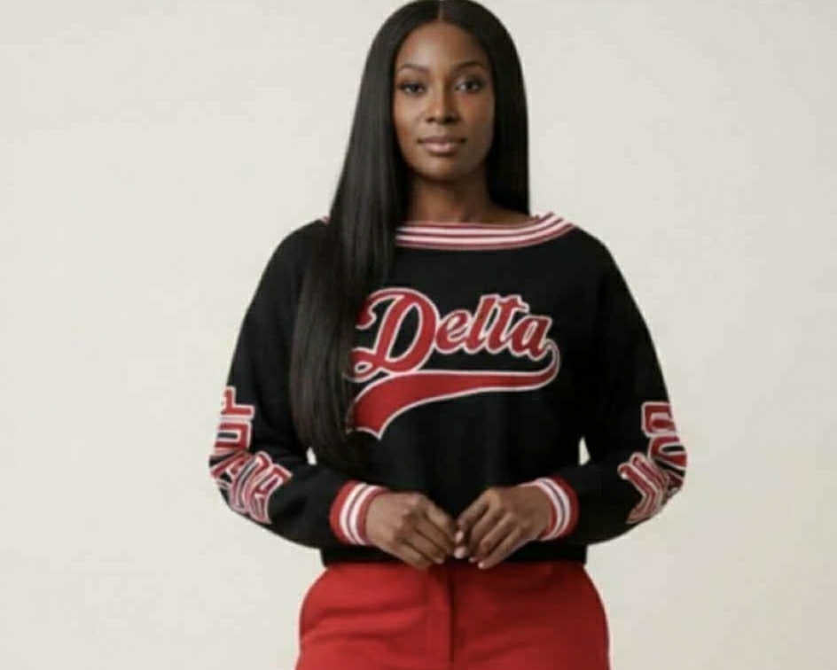 DST Cropped Black Embroidered Sweatshirt