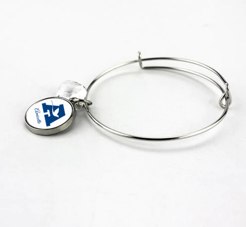 Amicette Stainless Bangle Bracelet